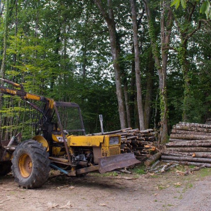 Πράσινα Έργα