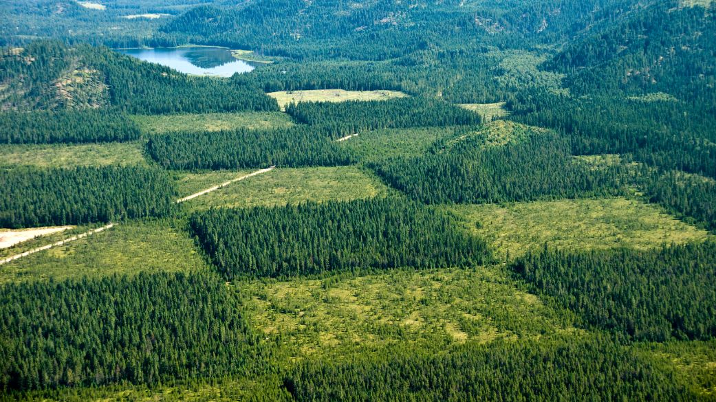 Our business consulting programs helps to break the performance of your business down into customers and product groups so you know exactly which customers or product groups are working and which ones aren’t you can make the changes needed to get the best results out of your business.  Over the last 35 Years we made an impact that is strong & we have long way to go.  These are the concepts that shape our distinctive culture differentiate us from others. They ture the spirit of our Firm guide the behaviors t