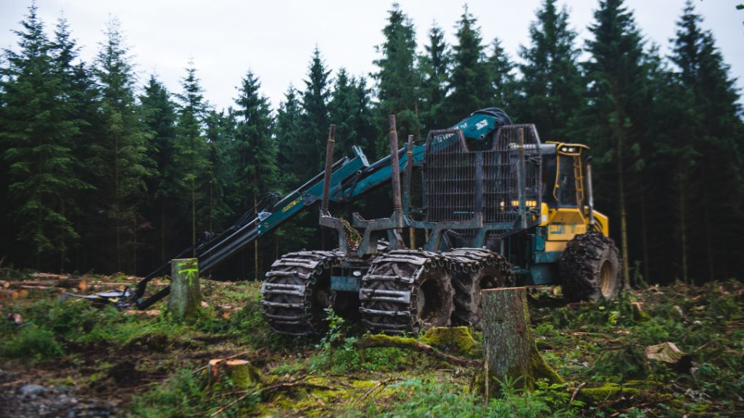 Πράσινα Έργα